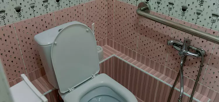 Meeting Diverse Needs With Accessible Restroom Solutions in Warren, OH